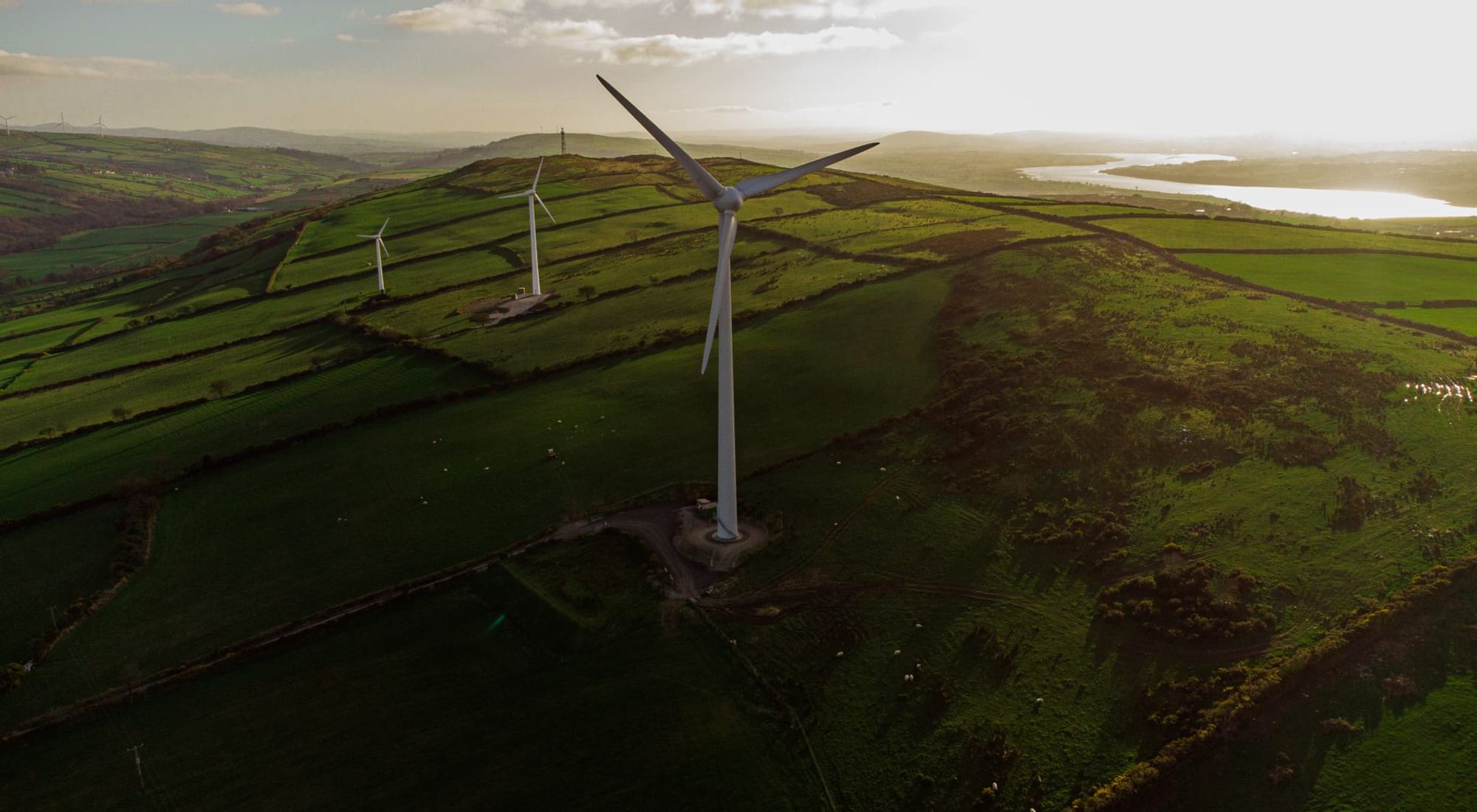 Wind turbines on green rolling hills under a calm sky
